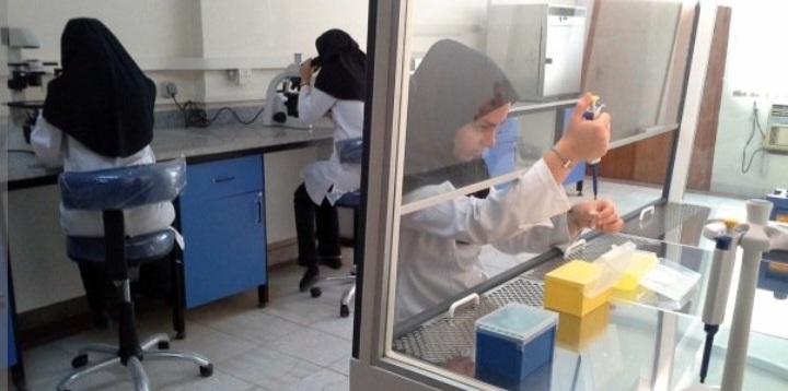 خدمات real-time PCR در کارمانیا پارس ژن