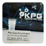 پروتئین نوترکیب IFN-gamma Mouse کارمانیا پارس ژن