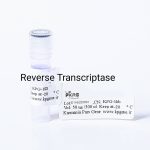 آنزیمReverse Transcriptase مقاوم به دما