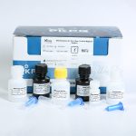 خرید کیت استخراج DNA از باکتری گرم مثبت / منفی به روش ستونی کارمانیا پارس ژن