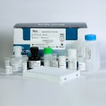 خرید کیت الایزا IL17 انسانی کارمانیا پارس ژن