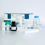 خرید کیت الایزا IL8 انسانی کارمانیا پارس ژن