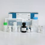 خرید کیت الایزا CCL21 انسانی کارمانیا پارس ژن