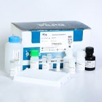 خرید کیت الایزا IL1B رت کارمانیا پارس ژن