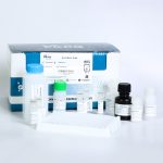 خرید کیت الایزا IL10 رت کارمانیا پارس ژن