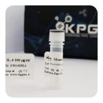 پروتئین نوترکیب (100nanogram) IL-۴ Human