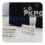 پروتئین نوترکیب (100nanogram) TGF-B Human