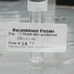 پروتئین نوترکیب (100nanogram) CXCL12 / SDF-1  Human