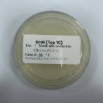 top-10 product picture