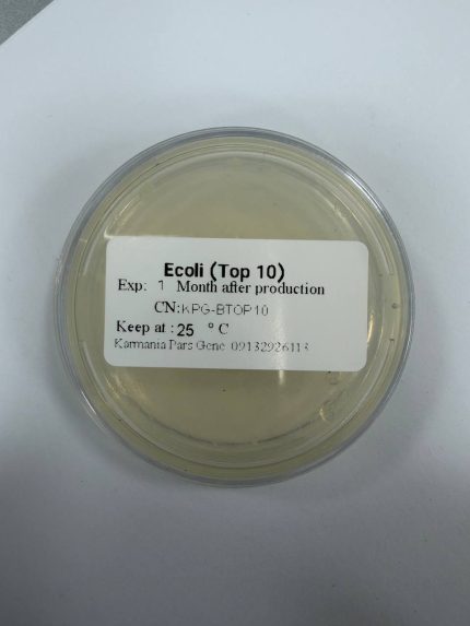 top-10 product picture