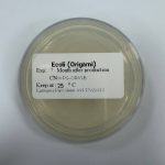 Ecoli (Origami)(DE)1plate