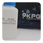 RIPA Buffer (Rnase/Dnase free) (100 ml)