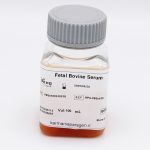 خرید Fetal Bovine Serum (100cc) کارمانیا پارس ژن