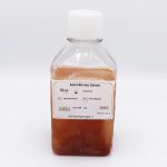 خرید Fetal Bovine Serum (500cc) کارکانیا پارس ژن