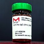 خرید آنتی بادی IgG ساخت شرکت HRP آمریکا از کارمانیا پارس ژن