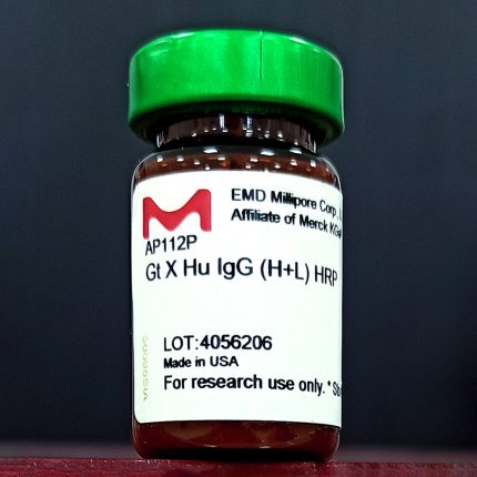 خرید آنتی بادی IgG ساخت شرکت HRP آمریکا از کارمانیا پارس ژن