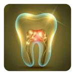 سلول بنیادی مزانشیمال دندان Mesenchymal Stem Teath MSC Cells