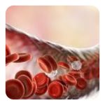 Mesenchymal Stem Cell from Human Umbilical tissue  25ml flask