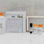GPX Assay Kit