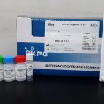 کیت الایزا برای اندازه گیری IFN-Gamma رت