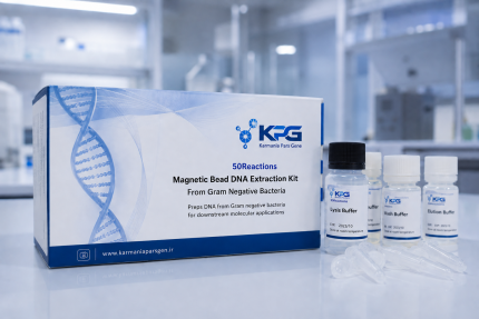 (50Reactions) Magnetic Bead DNA Exctraction Kit From Gram Negative Bacteria
