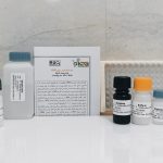 ROS Assay Kit