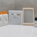 (TAC) Free Radical Scavenging Capacity Assay Kit based on DPPH