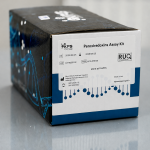 Peroxiredoxins Assay Kit