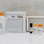 کیت اندازه گیری فعالیت گلوتاتیون پراکسیداز (GPX)