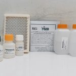 کیت اندازه گیری گلوتاتیون اکسید شده (GSSG)