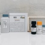 کیت اندازه گیری میزان ROS ROS Assay Kit Catalog No. KPG-ROS