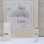 کیت اندازه گیری کربونیل پروتئین Protein Carbonyl Assay Kit Catalog Nos. KPG-PC
