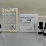 picture of product