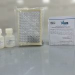 Paraoxonase 1 Assay Kit