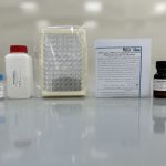 PPO POX Picture